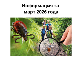 Картограмма регистрации мест укусов клещей в Дзержинском районе в марте 2026 года
